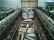  MACKIE flax roving frame - Second Hand Textile Machinery 1988/89 