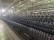  ZINSER RM 451 worsted ring spinning frames  - Second Hand Textile Machinery 2003/2006 