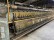  Worsted ring frames GAUDINO  - Second Hand Textile Machinery  