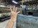  Worsted ring frames GAUDINO  - Second Hand Textile Machinery  