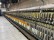  Worsted ring frames GAUDINO FSTD - Second Hand Textile Machinery 1987 