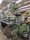  Rapier looms DORNIER PTV - Second Hand Textile Machinery 2001 