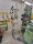  Rapier looms DORNIER PTV - Second Hand Textile Machinery 2001 