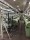  Rapier looms SOMET SUPER EXCEL - Second Hand Textile Machinery 2000 / 2001 