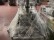  NF42 JAKOB MULLER Narrow fabric looms for tapes and belts  - Second Hand Textile Machinery 1988 - 1989 - 1996 