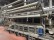  BRUCKNER SUPRAFLOR TUFT CArper dyeing machines - Second Hand Textile Machinery 1997 - 2001 